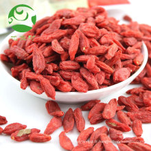 Vente chaude de baies de goji rouges certifiées chinoises